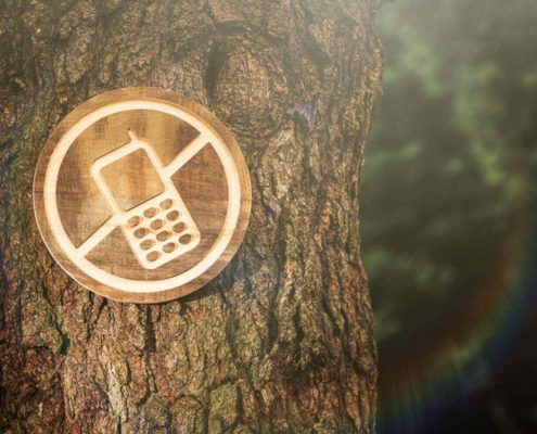 Digital Detox